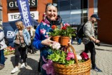 „Bądź eko na wiosnę”. Tak było w weekend w Bydgoszczy. Zobaczcie zdjęcia