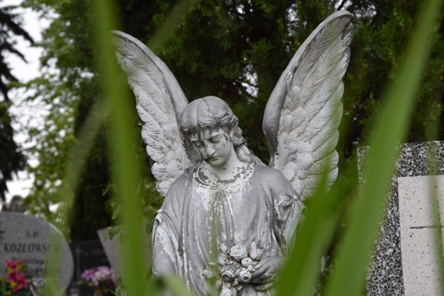 Komu i czemu zawdzięczamy spokój, jaki towarzyszy temu miejscu o każdej porze roku i dnia? Skąd bierze się uczucie jakby utulenia? Może dzięki tym postaciom, które znad nagrobków spoglądają w niebo lub na ziemię. Zobacz galerię zdjęć z cmentarza przy ul. Wandy w Nowej Soli. To jak spacer dla tych, którzy chcieliby tam pójść. 