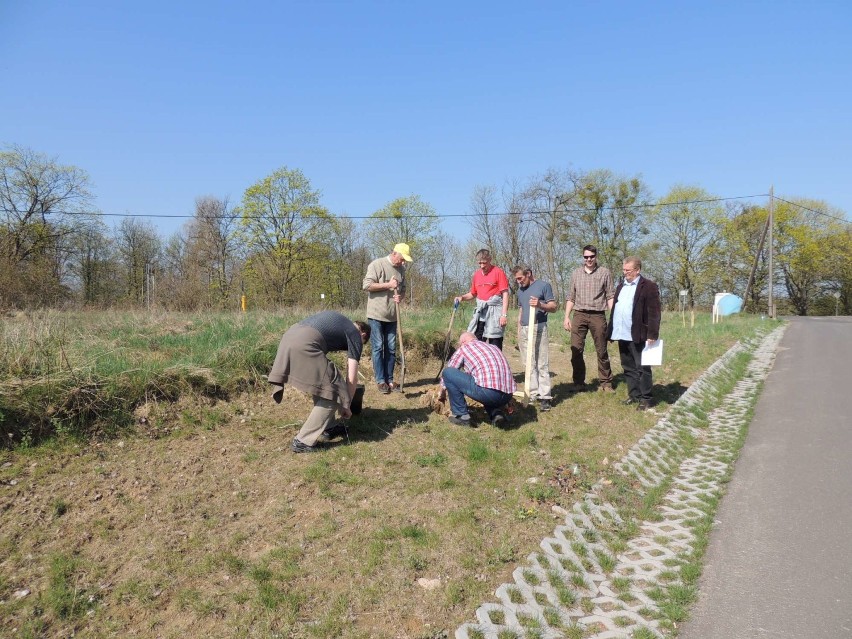 Domownicy Placówki "Nasz Dom" oraz Środowiskowego Domu Samopomocy zasadzili 20 dębów szypułkowych