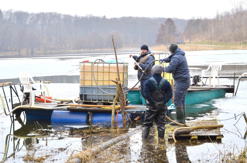 Trwa inaktywacja fosforu w kartuskich jeziorach