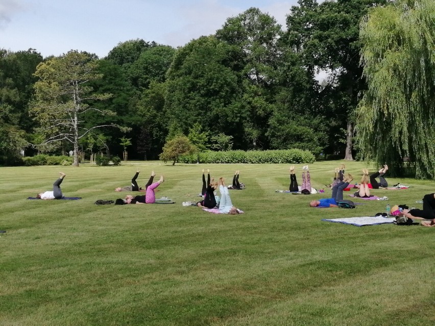 Słoneczny poranek w parku, czyli zajęcia z jogi dla każdego