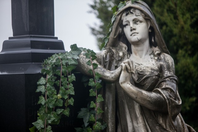 Najstarsze cmentarzyska istniały na terenie dzisiejszej Bydgoszczy już w epoce kamienia. W epoce brązu zmarłych chowano w okolicach Niecponia, Brdyujścia oraz Pałcza. Na Bielawach natomiast odkryto pół tysiąca grobów ze szczątkami pochowanych 1100-800 lat p.n.e.  

Pierwsze stałe miejsca pochówku w naszym mieście tworzone były w średniowieczu przy kościołach wraz z wprowadzeniem chrześcijaństwa. 

Obecnie największą nekropolią w Bydgoszczy jest cmentarz komunalny przy Wiślanej. Najstarszą katolicką założony w 1808 roku cmentarz Starofarny. 

Więcej informacji znajdziecie pod kolejnymi zdjęciami >>>