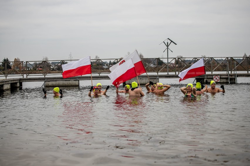 Święto Niepodległości 2020. Morsy Białystok świętowały 11 listopada w wodzie na Dojlidach [zdjęcia]