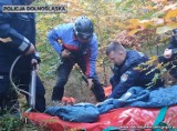 Poszukiwania zaginionego mężczyzny w Zieleńcu. Służby z Czech i Polski odbyły wspólne ćwiczenia 