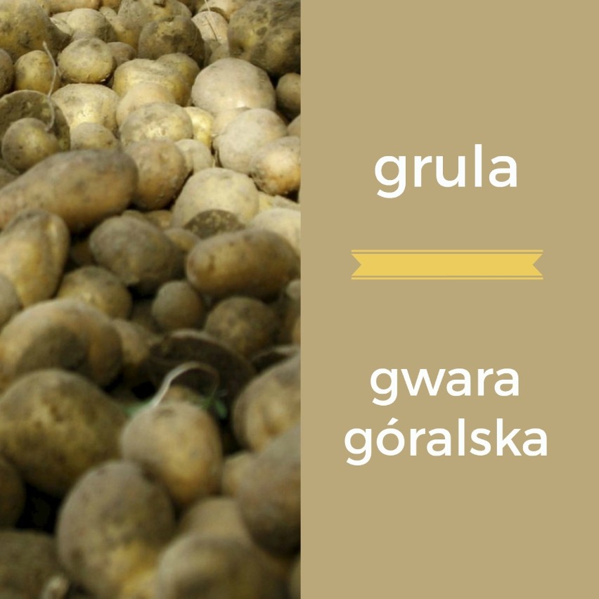grula - gwara góralska