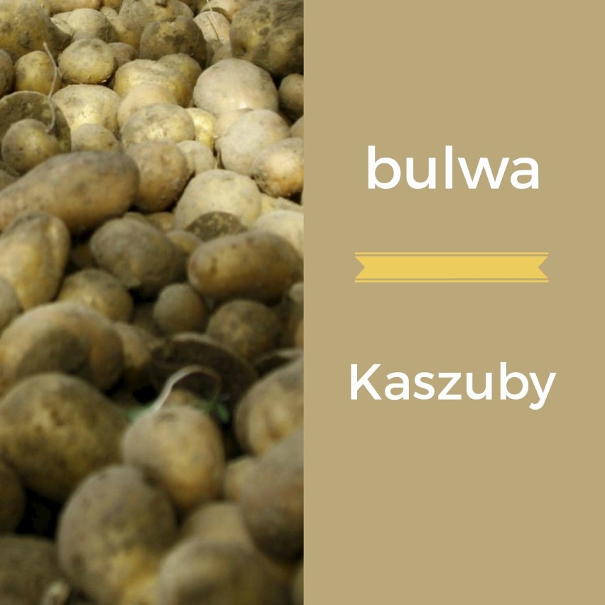 bulwa - Kaszuby