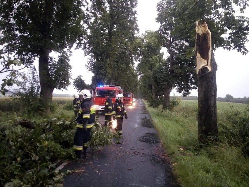 Straż wyjeżdżała do następstw burzy