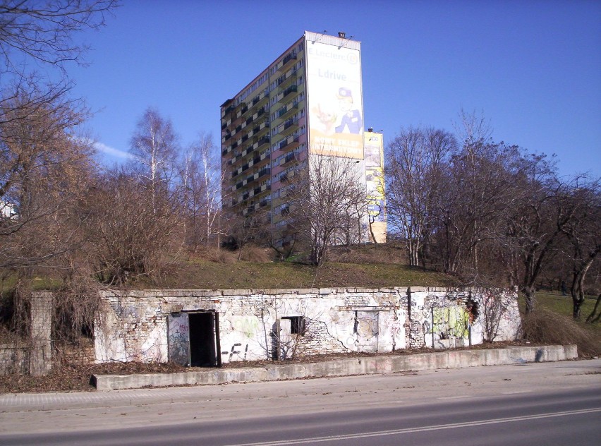 Pozostałości po zamku na Czechowie