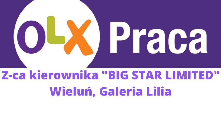 "BIG STAR LIMITED” to polska Firma odzieżowa. Obecnie...