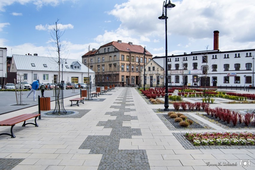 Wiosenny Plac Powstańców Wielkopolskich w obiektywie Romana Urbaniaka [ZDJĘCIA]