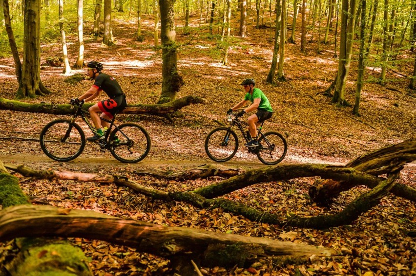 Mazowiecki Park Krajobrazowy liczy aż 23 tysiące ha. Swoim...