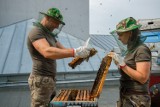 Tarnów. Miód z pasieki na dachu Teatru im. Ludwika Solskiego zebrany! Czas na degustację. Mamy zdjęcia