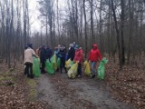 „Forest Challenge” w Redzie. Urzędnicy posprzątali fragment lasu w Pieleszewie |ZDJĘCIA