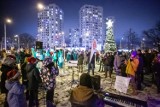 Choinki bożonarodzeniowe w Gdańsku. Harmonogram rozświetlania drzewek w dzielnicach