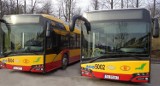 Dodatkowe linie autobusowe na cmentarze w Kielcach i Cedzynie już w ten weekend 