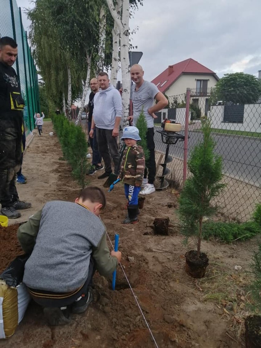 Mieszkańcy wspólnie posadzili choinki