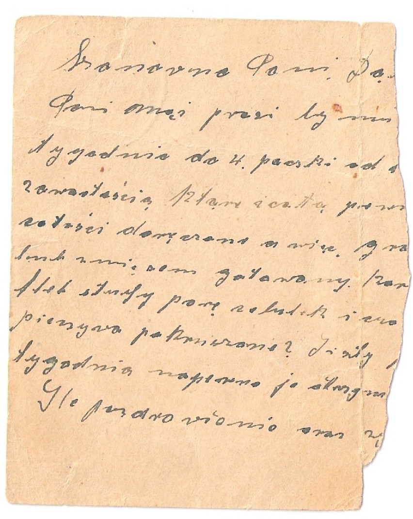 Fragment grypsu Bogdana Dąbrowskiego.
