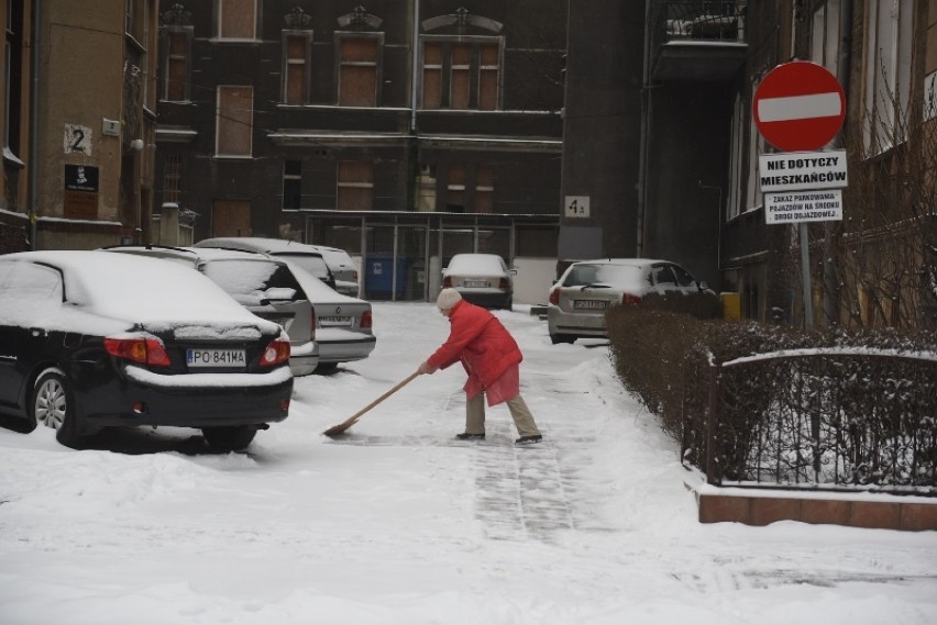 Pogoda w Poznaniu: Zimowe zdjęcia