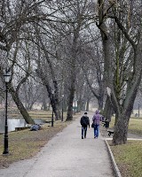 Park Zamkowy w Szamotułach powoli umiera. Jaka przyszłość go czeka?