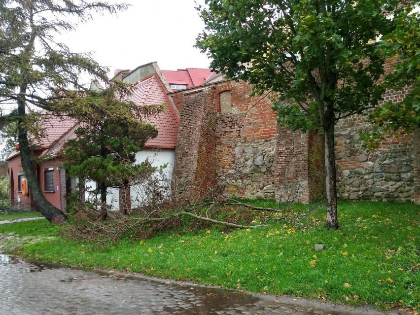 Silny wiatr i ulewny deszcz dotarły nad Kamień Pomorski