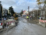 Kraków. Zima jeszcze trwa, ale drogowcy biorą się za łatanie dziur. Naprawią też torowisko na Starowiślnej