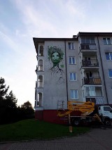 Nowy mural na ulicy Konopnickiej (zdjęcia)
