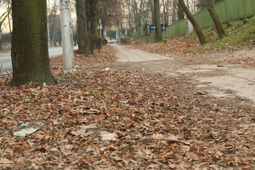 Czytelnik skarży się na niesprzątnięte liście w centrum Lublina. „To nie wygląda dobrze”