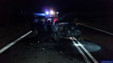 W Regielach łoś doprowadził do wypadku. Dwóch kierowców zostało rannych [ZDJĘCIA]