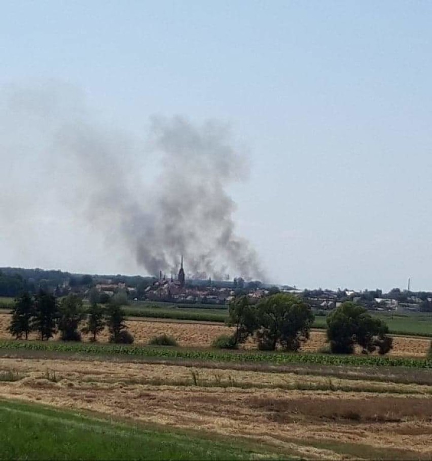 Pożar zboża na pniu w Przybysławicach