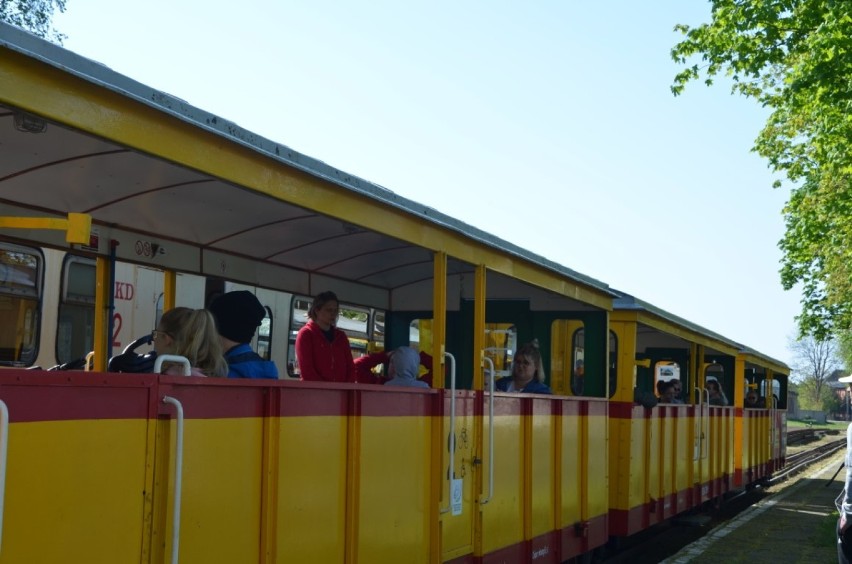 Do lasu lub nad morze kolejką wąskotorową. 1 maja odbył się pierwszy kurs.