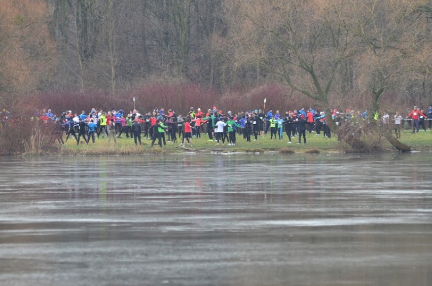 Grand Prix zBiegiemNatury w Poznaniu - 4 stycznia 2014