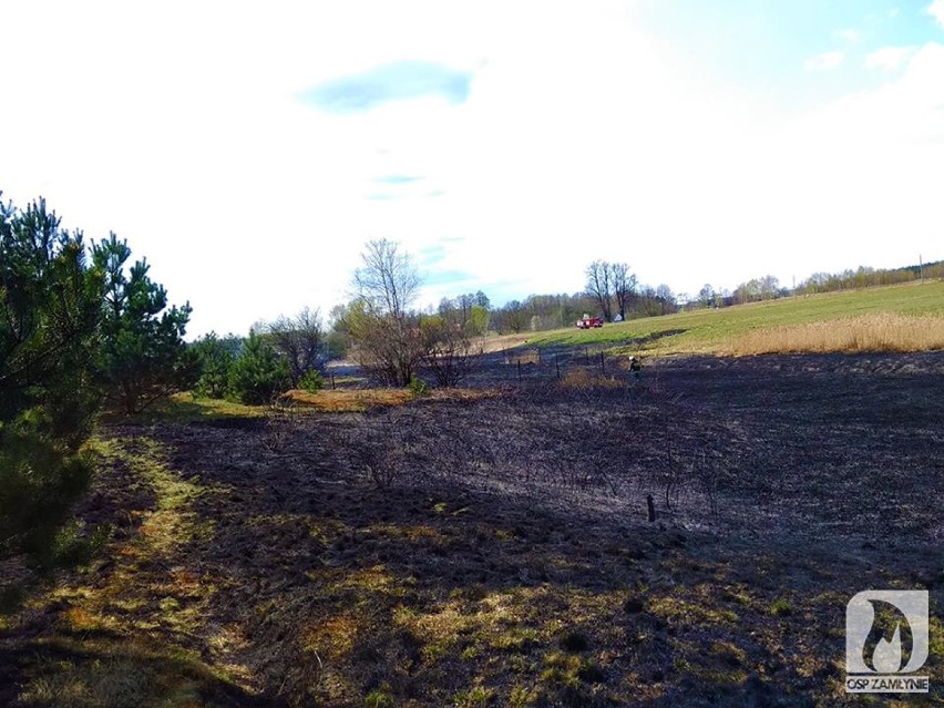 Duży pożar traw przy drodze Bór Zapilski - Piła [ZDJĘCIA]