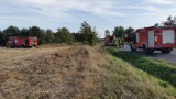 Pożar w gminie Dobryszyce. W Białej Górze płonęły nieużytki, ściernisko i las. ZDJĘCIA