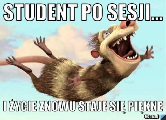 "Bez spiny, są drugie terminy", czyli sesja znów zaskoczyła studentów [MEMY]

Zobaczcie też: Czy warszawiacy utrzymują kontakt ze swoimi byłymi partnerami? Sprawdziliśmy [WIDEO]
