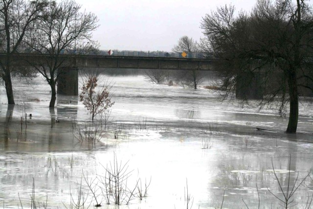 Powódź Międzychód 2011: 10-18 stycznia