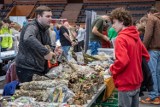 Egzotyczne zwierzęta i rośliny z całego świata w jednym miejscu. W hali Cracovii zorganizowano giełdę terrarystyczną ZDJĘCIA]