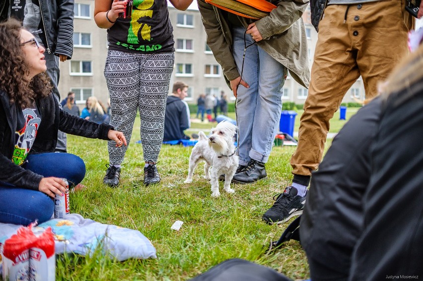 Trwają Bachanalia 2016 w Zielonej Górze