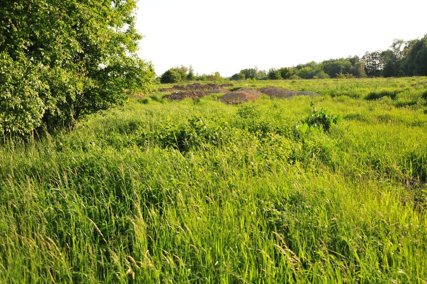 Park miejski na terenie dawnego składowiska odpadów? Taki plan mają władze Krosna [ZDJĘCIA]