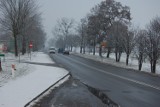 Dzięki łagodnej zimie na drogach powiatowych uda się wykonać wiele dodatkowych prac