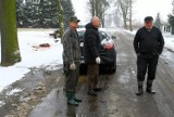 Zagryziona sarna na Słowackiego w Piotrkowie. Właściciele psów ukarani