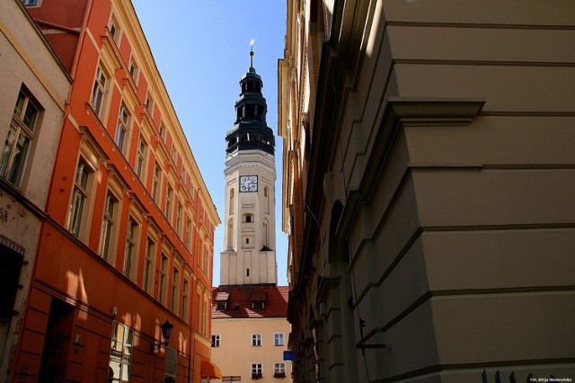 Sprawdź, jakie zmiany czekają nas w 2017 roku. Wiemy już, co nowego pojawi się w Zielonej Górze. w Piątek, 13 stycznia poznaliśmy wyniki głosowania w budżecie obywatelskim.Jakie zadania zostaną zrealizowane w ramach budżetu obywatelskiego 2017? 
Oto zwycięskie zadania w budżecie obywatelskim 2017: 

Zadania duże: 
1. Budowa Domu Wielopokoleniowego dla osób starszych i młodzieży (zdobył 4,7 tys. głosów) przy ul. Władysława IV. Szacunkowy koszt - 1,9 mln zł 
2. Budowa ulic na Chynowie (1.825 głosów, 1,5 mln zł). 

Zadania małe: 
1. Park Kolei Szprotawskiej - Skarbnica Wspomnień Zielonogórzan (montaż eksponatów i inne prace, jak zakup stojaków na rowery, ławek, koszy na śmieci, doświetlenia, itd.) - 2.846 głosów (szacunkowy koszt - 150 tys. zł). 
2. Sprytne ławki na deptaku z Wi-Fi i ładowarkami do telefonów (2.133 głosy, 66 tys. zł).
3. Duży podświetlany napis ZIELONA GÓRA - jako miejsce spotkań i najbardziej fotografowany punkt miasta (1.561głosy, 100 tys. zł). 
4. Budowa parku rekreacyjnego dla młodzieży przy ul. Złotej (1.495 głosów, 150 tys. zł)/ 
5. Oświetlenie ul. Kolorowej (powtarza się, spróbujemy wyjaśnić dlaczego) i Fioletowej na Chynowie (1.456 głosów, 150 tys. zł). 
6. Pogromcy Bazgrołów - usuwanie bazgrołów z przestrzeni miejskiej i walka z tym zjawiskiem (1.434 głosy, 75 tys. zł).
7. Budowa oświetlenia wzdłuż ul. Kolorowej - od Krępowskiej do Waniliowej -  (1.372 głosy, 108 tys. zł).  
8. Dokumentacja budowy drogi, chodnika i odwodnienia na ulicach Budowlanej, Uroczej, Stolarskiej i Słowiczej (1.318 głosów, 70 tys. zł).
9. Budowa małej fontanny w parku Piastowskim (1.202 głosy, 150 tys. zł). 
10. Rozbudowa ścianki wspinaczkowej (1.165 głosów, 140 tys. zł). 
11 Tablica informująca o jakości powietrza w mieście (993 głosy, 100 tys. zł). 
12. Naturalny Ogród Poznawczy "Bliżej Natury" w Dolinie Gęśnika (936 głosów, 100 tys. zł). 
13. Budowa parkingu przy ul. Zdrojowej (871 głosów, 120 tys. zł). 
14. Dubaj w Zielonej Górze - ożywiamy szare kamienne kosze na śmieci motywami winiarskimi (847 głosów, 100 tys. zł). 
15. Plac zabaw w parku Piastowskim - doświetlenie i zakup dodatkowej infrastruktury
(819 głosów, 150 tys. zł). 
16. Montaż budek lęgowych na terenie miasta (741 głosów, 50 tys. zł). 
17. Doposażenie i doświetleniu stadionu przy ul. Sulechowskiej (703 głosy, 50 tys. zł). 
18. Dokończenie drogi Chynowskiej (687 głosów, 150 tys. zł). 
19. Budowa siłowni na świeżym powietrzu na os. Pomorskim, obok skateparku (606 głosów, 50 tys. zł). 
20. Budowa i uzupełnienie oświetlenia w kierunku os. Kwiatowe - Dzika Ochla (592 głosy, 150 tys. zł). 
21. Dokończenie remontu chodnika przy ul. Zawadzkiego „Zośki” oraz św. Cyryla i Metodego(553 głosy, 100 tys. zł). 
22. Ul. Budowlana - remont wraz z ciągami pieszo-jezdnymi (550 głosów, 60 tys. zł).
23. Nowe przebieralnie na kąpielisku w Ochli (469 głosów, 150 tys. zł). 
24. Ogród Zmysłów - animacja przestrzeni (545 głosów, 150 tys. zł).
25. Pomalujmy ulicę Chmielną „Chmielowa Kolorowa” (469 głosów, 150 tys. zł).