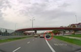 Szok! Skandaliczna jazda kierowcy po ulicach Kielc. Cudem nie doszło do tragedii Zobacz zdjęcia i film