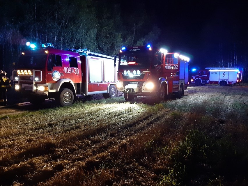 Gmina Drużbice: Strażacy wyjechali do pożaru poszycia leśnego [ZDJĘCIA]