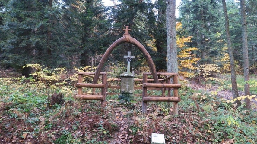Cmentarz choleryczny w leśnictwie Odrzykoń