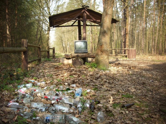 Ludzie ochoczo korzystają z miejsc leśnego odpoczynku. Uważają, że można tu i "flaszkę obalić" (nawet wiele, bardzo wiele flaszek) oraz telewizję pooglądać.