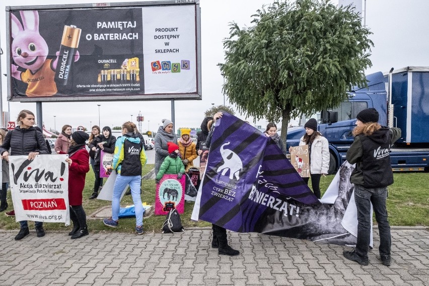 Protestujący podkreślają: „Jesteśmy zwolennikami sztuki...