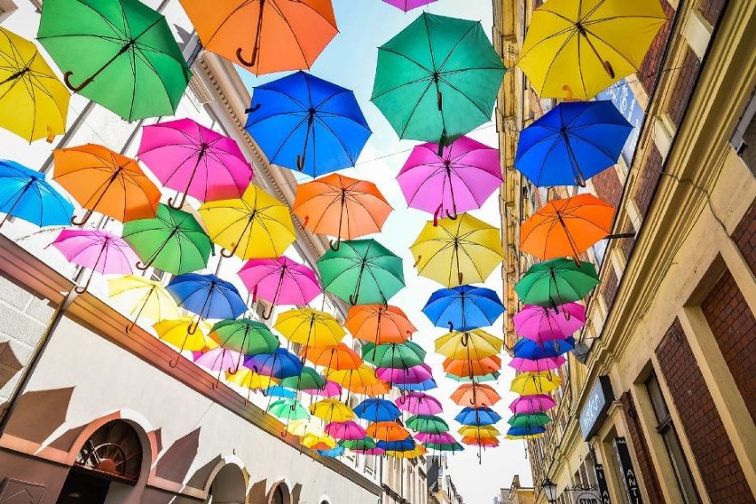Czy wrócą kolorowe parasolki na leszczyńską starówkę? Od czterech lat były co roku [ZDJĘCIA]