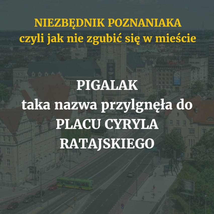 Tu nawet nie chodzi o to, żeby nie zrobić sobie wstydu....