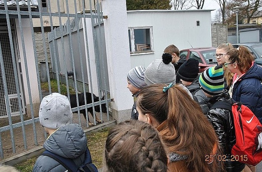 Uczniowie ze szkoły w Świętem odwiedzili jarosławskich policjantów