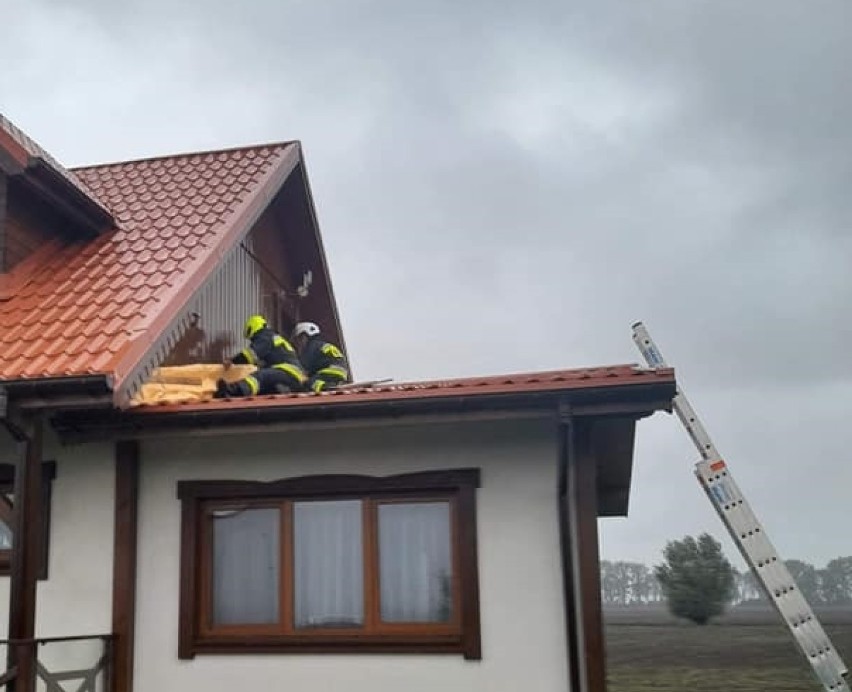 Powiat malborski. Strażacy usuwają skutki silnego wiatru. Powalone drzewa i poderwany dach